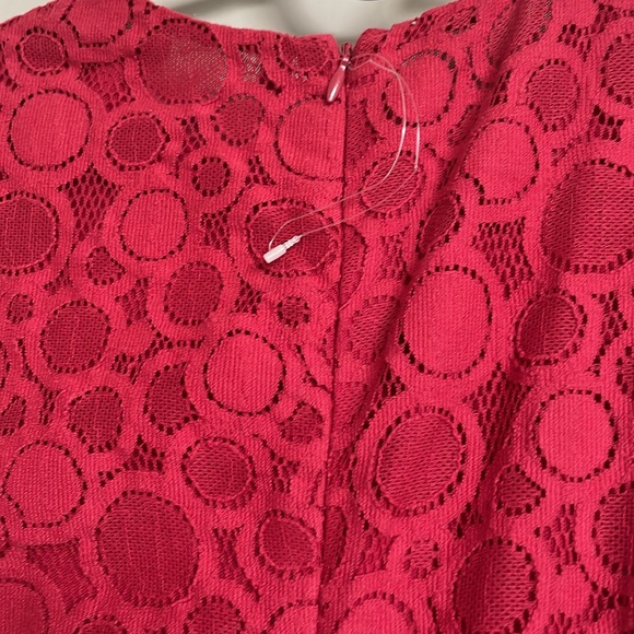 MaxMara StudioElegant Red Lace Midi Dress - Picture 13 of 16